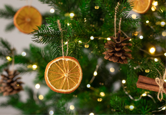 Blog: Dreaming of a Green Christmas: 5 Ways to Reduce Your Carbon Footprint